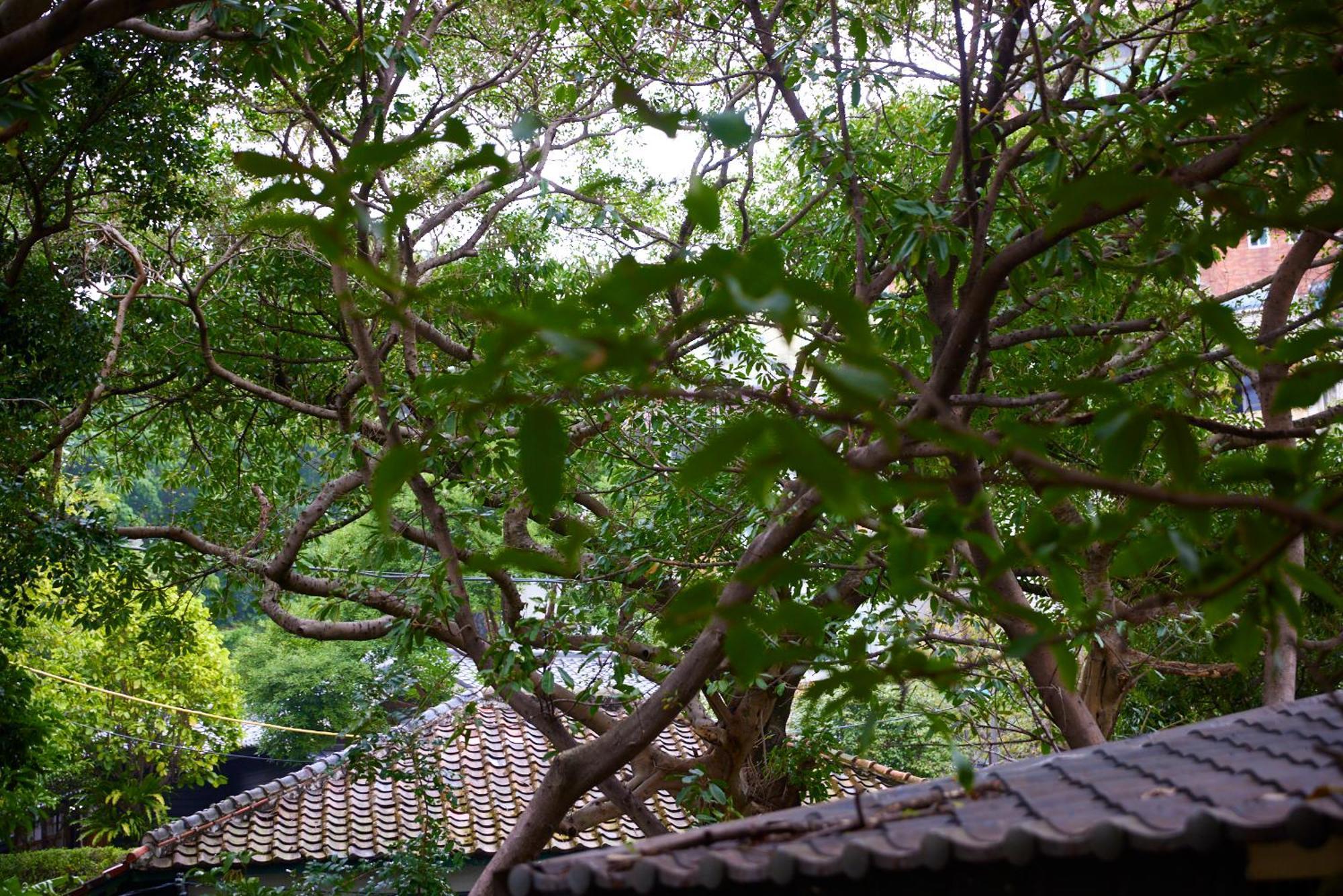 Kyokusui Hotspring Hotel Taipei Exterior photo